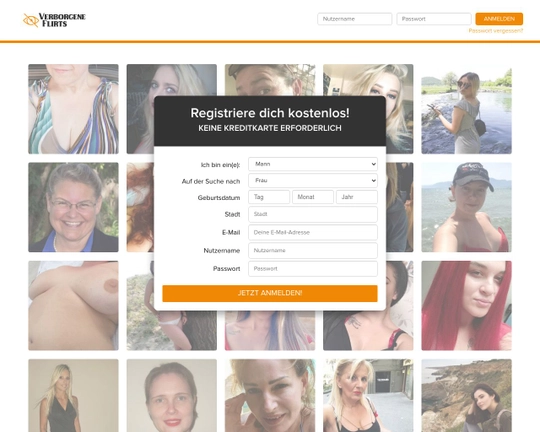 Verborgene Flirts Logo